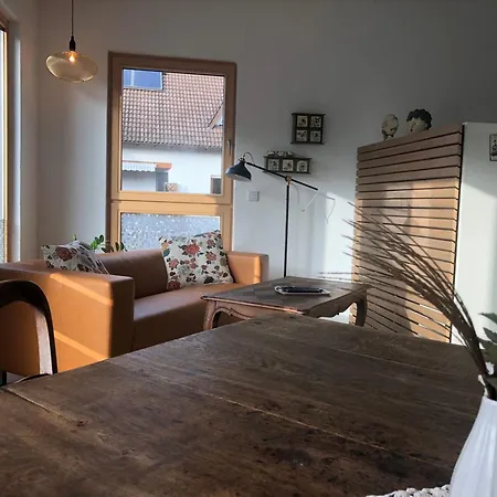 Haas Oberschopfheim Apartment Friesenheim (Baden-Wurttemberg)